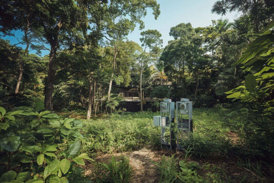 Airbus et Solar Impulse : l'imagerie satellitaire au service de la restauration des écosystèmes Image satellite d'une forêt surveillée pour sa restauration.