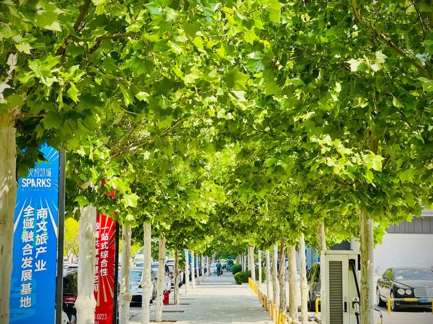 Marché chinois des voitures électriques face à une concurrence intense