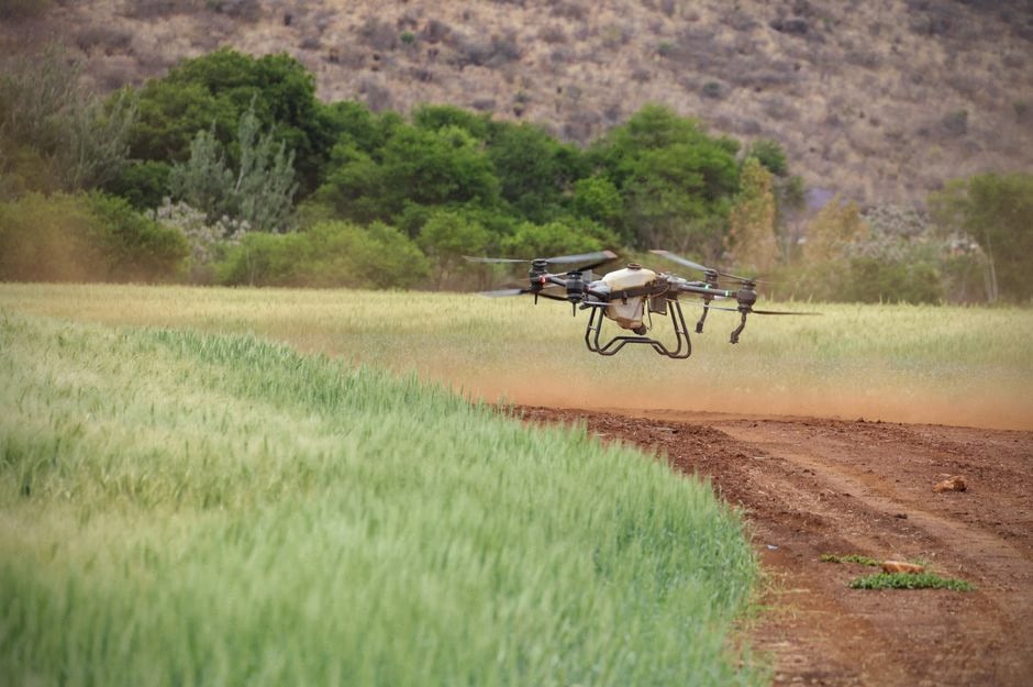 Start-up tunisienne développant des applications IA pour services publics et agriculture